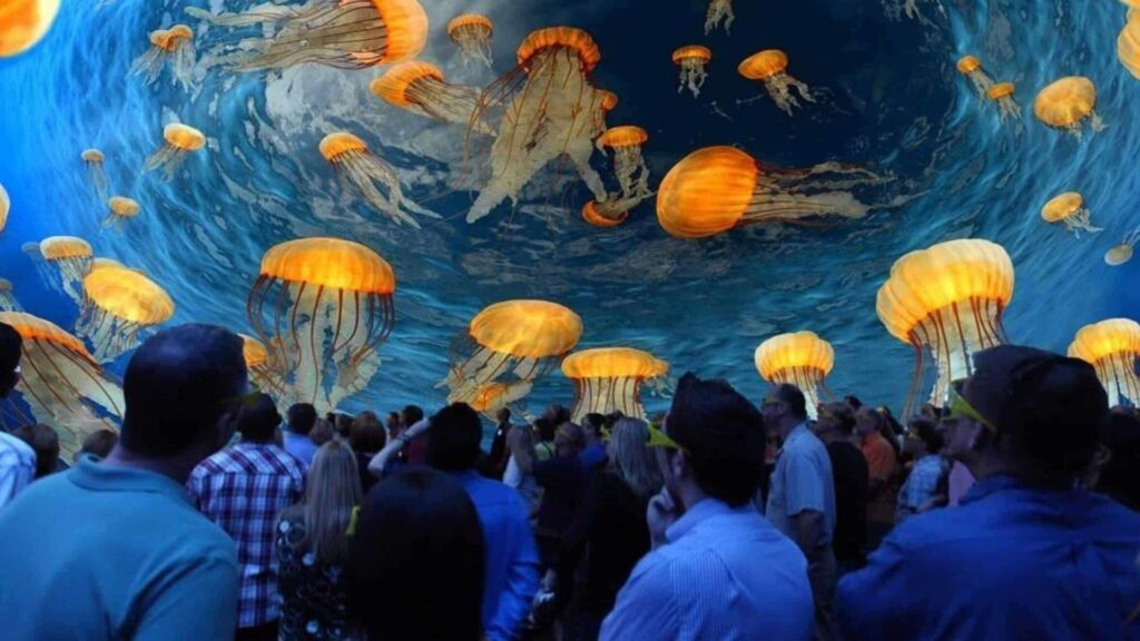 Turtle Trek® at SeaWorld Orlando